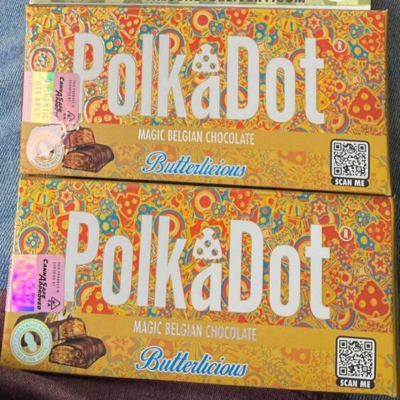 PolkaDot Dark Mushroom Belgian Chocolate